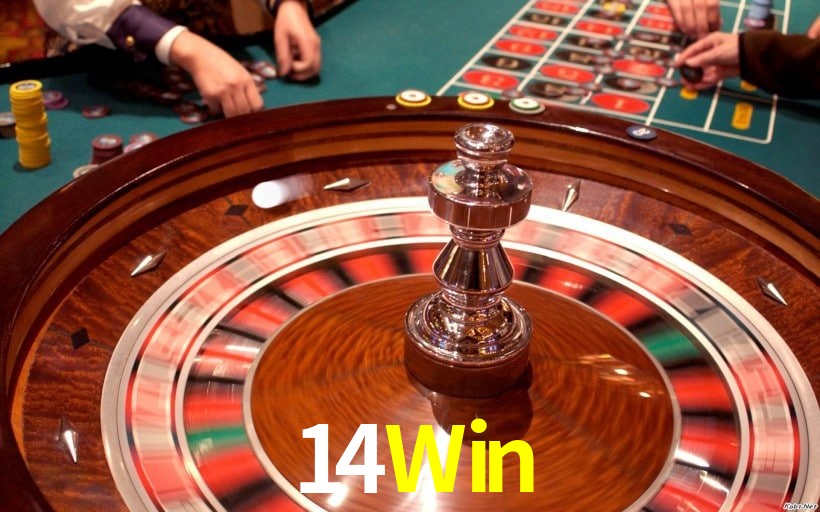 Interface Premium 14Win